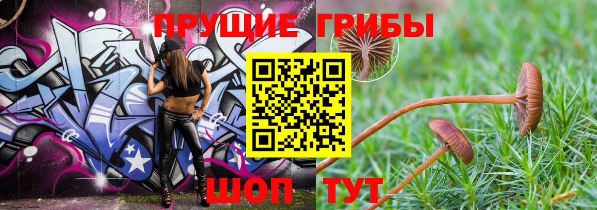 Псилоцибиновые грибы MAGIC MUSHROOMS Воткинск